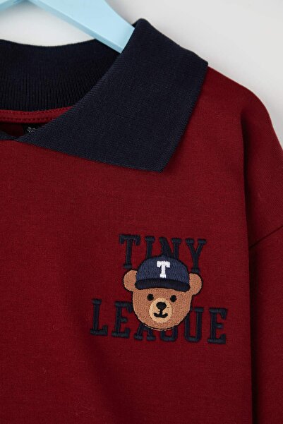 TRENDYOLKIDS Claret Red 100% Cotton Printed Polo Collar Regular Unisex Kids Knitted Sweatshirt Tkdaw26Sw00019