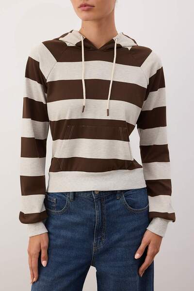 Trendyol Collection Multi-Colored Striped Fitted/Fitted Hooded Knitted Sweatshirt Twoaw26Sw00225
