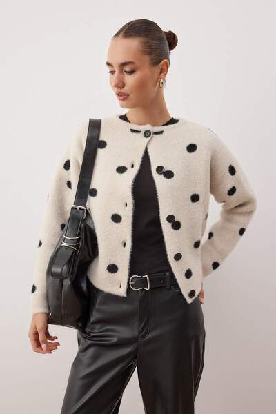 Trendyol Collection Ecru Soft Textured Crew Neck Polka Dot Knitwear Cardigan Twoaw26Hi00283