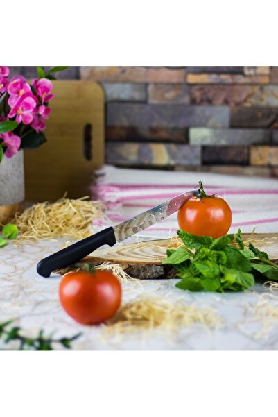 HIC طقم سكاكين تقطيع من الفولاذ المقاوم للصدأ مكون من 3 قطع مقاس 5 بوصة