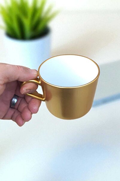 IKEA 365+ Gilded 2 Pieces 24 Cl Mug