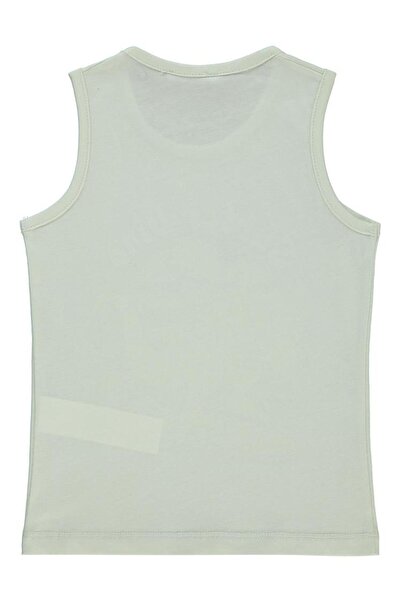 Civil Boys Surfer Dino Printed 2-5 Years Old T-Shirt - Grey 3-4 Years