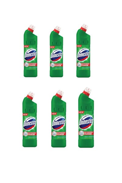 Domestos - Toilet disinfectant, 750 ml X6