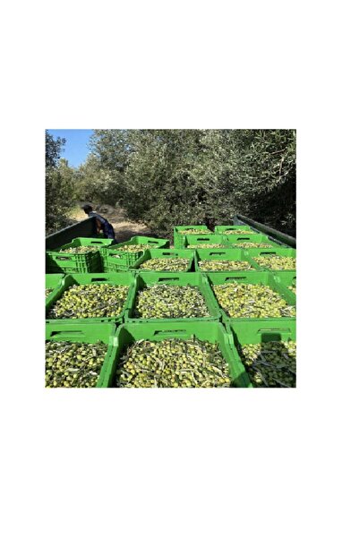 ÇİFTÇİDEN ORGANİK MARKET Doğal- Erken Hasat- Saf Naturel Sızma Soğuk Sıkım Zeytinyağı 5 Lt