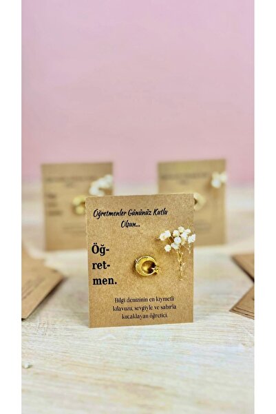 Fikirzede Öğretmenler Günü Özel Hediye Ay Yıldız Broş