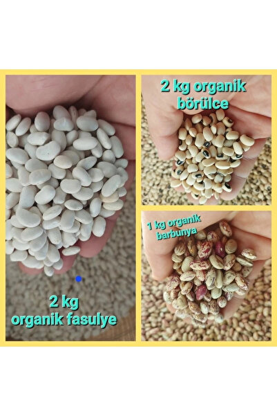 irfan bakliyat Fasulye 2 Kg Börülce 2kg Barbunya1 Kg ( Köy Mahsulu (katkısız, Doğal)