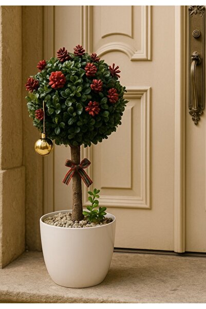 Marrone Noel Ağaç Dekoru Yılbaşı Ağacı Top Şimşir Kapı Önü Ağacı 50 cm