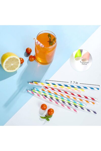 4basix Biodegradable Paper Straws (Pack of 100) Multicolour