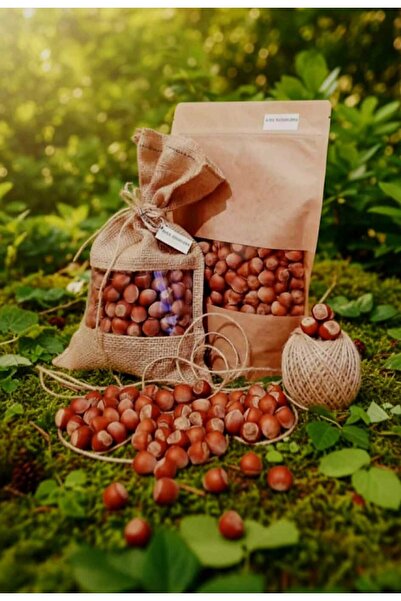 ASYA PAZARLAMA Yeni Mahsul 500gr 1.kalite Kabuklu Fındık, Tombul Ve Iri Fındık, Sezonluk Taze Fındık,organik Fındık