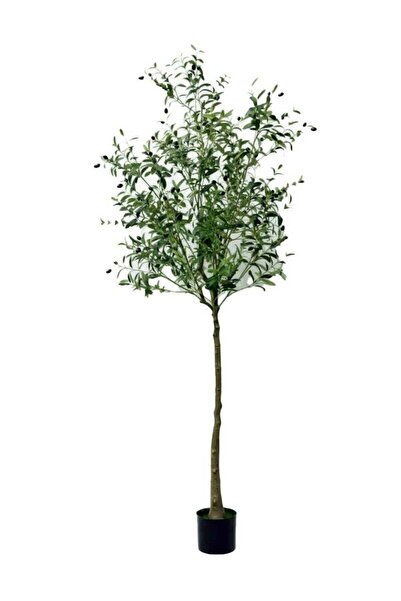AGD Artificial Olive Tree, 205 cm, Realistic Decorative Plant for Home and Office, Green