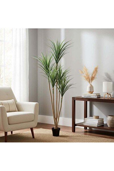 AGD Dracaena Marginata Artificial Tree 210cm with Realistic Leaves