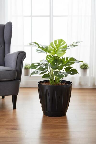 Bliss Papatya Saksı 12 lt Parlak Plastik Kendinden Tabaklı Drenajlı Çiçek Saksısı