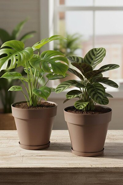 Bliss 2 Adet 3 Lt Tabaklı Izgaralı Dekoratif Plastik Yalı Saksı Seti