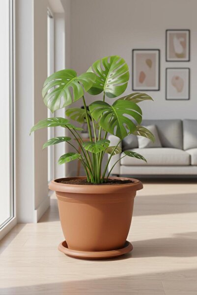 Bliss Kiremit Dekoratif Tabaklı Orta Boy Villa Saksı 14 Lt