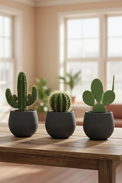 Bliss Serinova Elvan Kaktüs Saksı 3'lü No 0,13 Lt