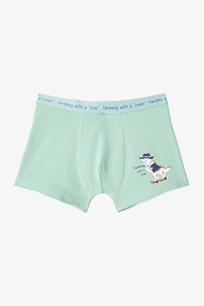 Penti Erkek Çocuk Dino Farm Pamuklu 2'li Boxer