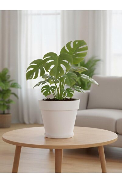 Bliss 6 Lt Kırık Beyaz Renk Tabaklı Izgaralı Dekoratif Plastik Yalı Saksı