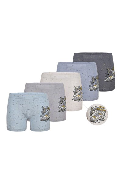 Donella 5-Pack Boys' Boxers 7581B6