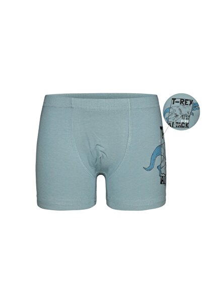 Donella Συσκευασία 5 τεμαχίων μπόξερ για αγόρια 7571PB12