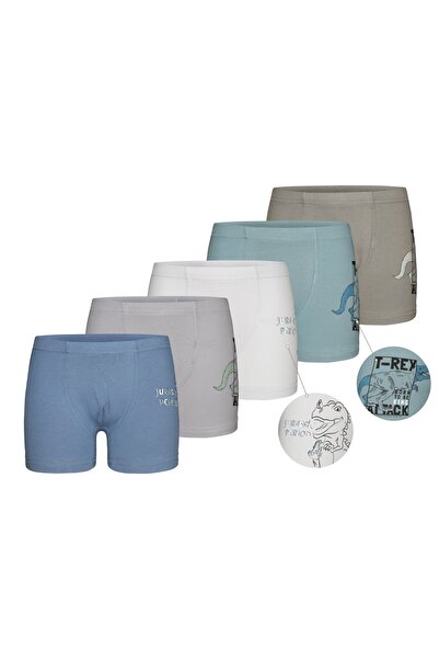 Donella Συσκευασία 5 τεμαχίων μπόξερ για αγόρια 7571PB12