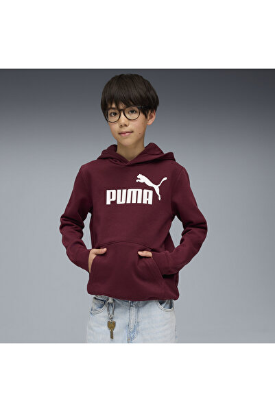 Puma ESS No. 1 Logo Fleece Hoodie Youth