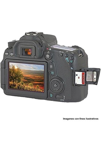 SanDisk Ultra 256GB Class 10 SDHC UHS-I Memory Card up to 150MB/s for DSLR and Mirrorless Cameras