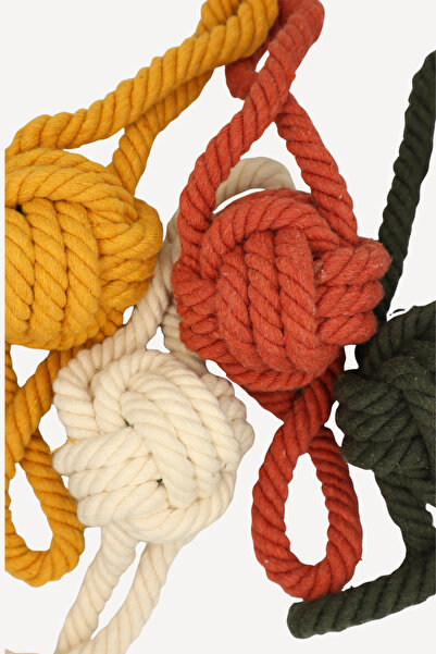 Eva & Wall-e Bulk Rope Dog Toy with Ball in the Middle |   Durable Pull String Fetch Ball for Small, Medium and Large Breeds