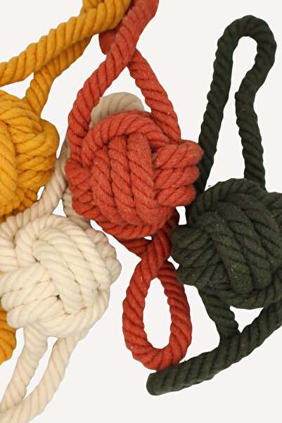 Eva & Wall-e Bulk Rope Dog Toy with Ball in the Middle | Durable Pull String Fetch Ball for Small, Medium and Large Breeds