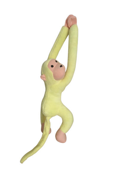 Home KUCAKLAYAN MAYMUN