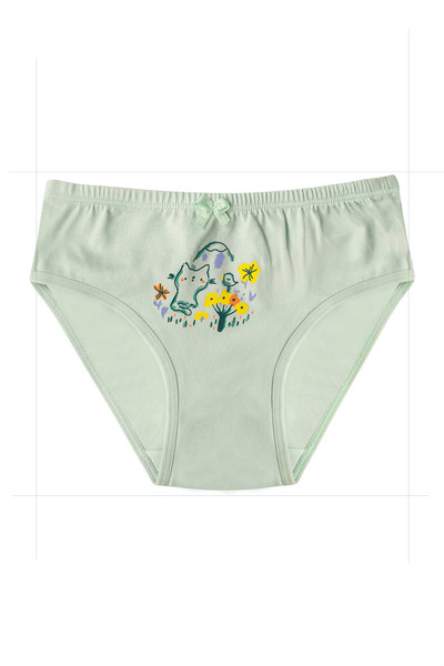 ÖZKAN underwear Özkan 41603 5'li Paket Kız Çocuk Karışık Renkli Desenli Pamuklu Yumuşak Slip Külot