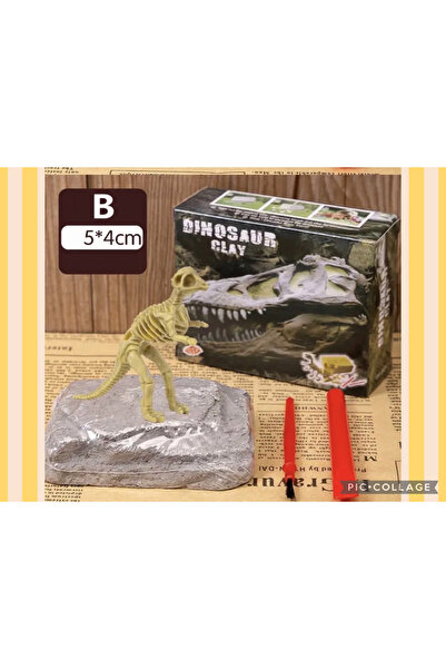 AZİZ OYUNCAK Tyrannosaurus Trex Tür Iskelet Fosil Dinazor Kazı Kiti Aktivite Faaliyet Etkinlik Proje Atölye 8x9cm