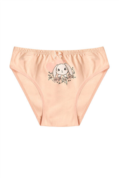 ÖZKAN underwear Özkan 41603 5'li Paket Kız Çocuk Karışık Renkli Desenli Pamuklu Yumuşak Slip Külot