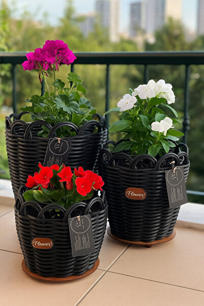 RaddanCore Siyah Renk Premium Saksı Kılıfı 3'Lü Set