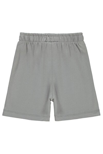 Civil Boys Surfer Dino 2-5 Years Shorts - Gray 3-4 Years