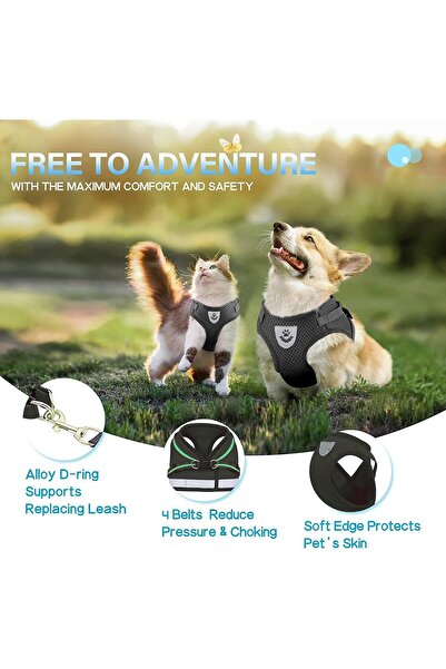 EDA LUXURY BEAUTY 2-Piece Special Dog Cat Luxury Highlighter Collar & Travel Outfit Small Breed Fancy Pet Leash Set