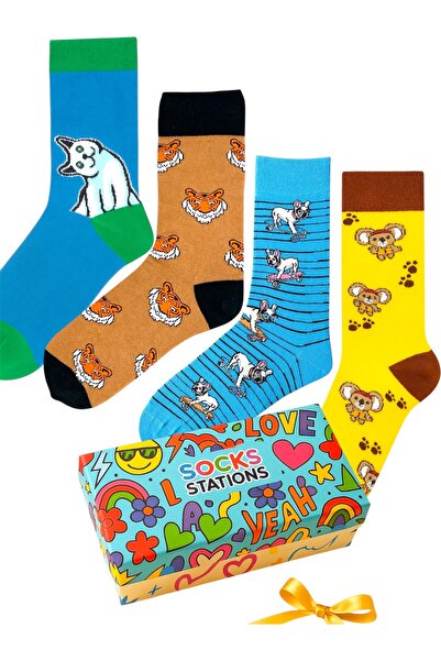 Socks Stations Premium Quality Socks Teddy Bear Socks Set - Colorful Sock Box