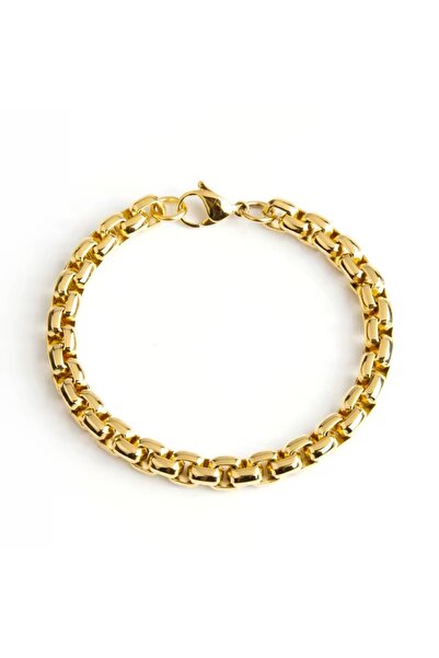 Siya Silver Albanian Chain Men's Steel Bracelet-6 mm