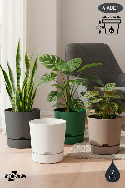 ToXA 4 Adet 9 Litre Karışık Begonya Saksı Tabaklı Dekoratif Mat Plastik Saksı