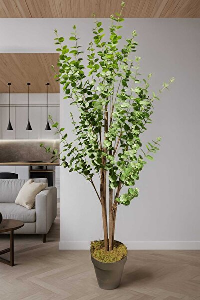 MAKİ DEKOR YAPAY OKALİPTUS 160 CM DEKORATİF MODERN AĞAÇ