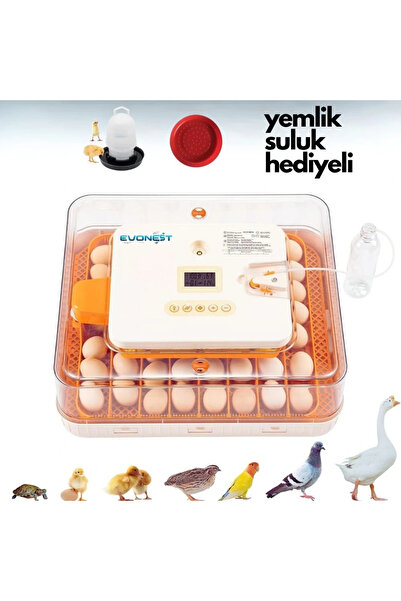 Evonest 56 Yumurtalık Tam Otomatik Kuluçka Makinesi | Turuncu Model