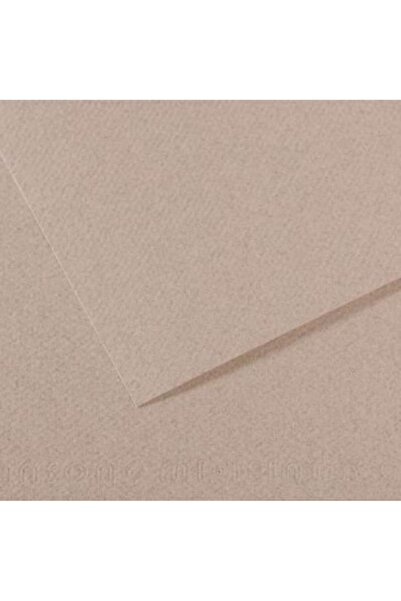 Canson Fon Kartonu (Dokulu) Mı-Teıntes Sh Canmt 50x65 160 GR Grey 426