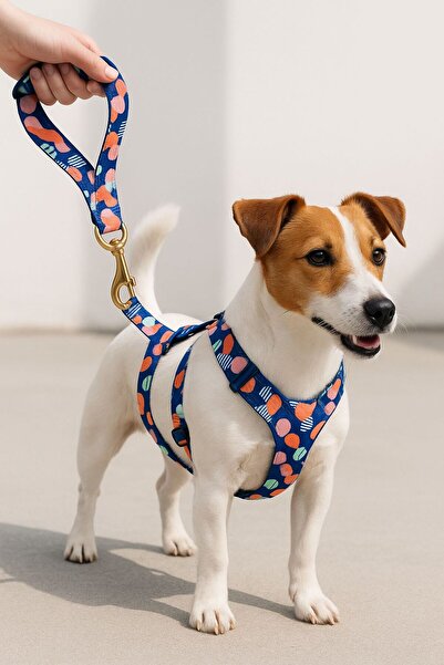 Angelapets KÖPEK TASMA SETİ 3'LÜ ( GÖĞÜS TASMASI BOYUN TASMASI GEZDİRME KAYIŞI )