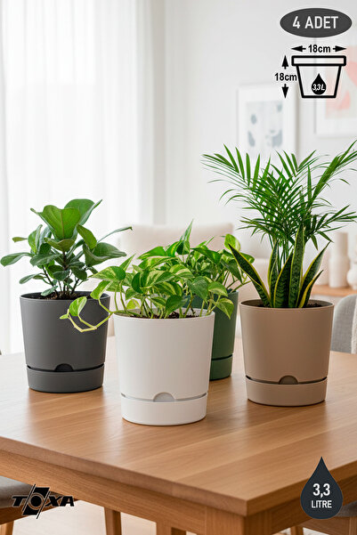 ToXA 4 Adet 3.3 Litre Karışık Begonya Saksı Tabaklı Dekoratif Mat Plastik Saksı