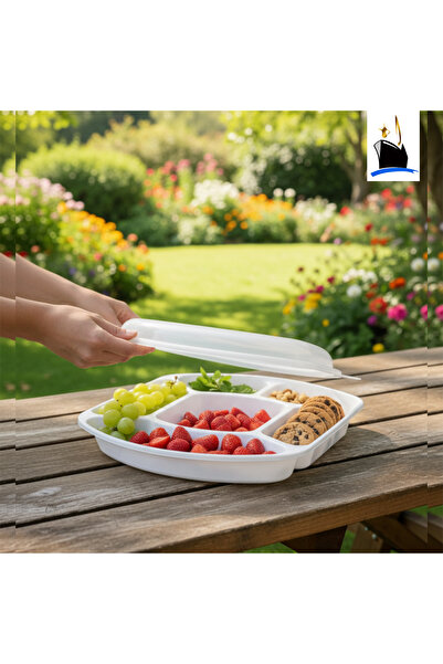 mm علبة مقسم عدة استخدام البجاد