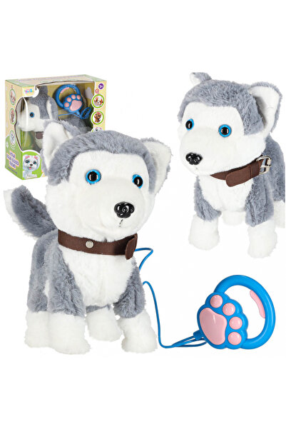 Ikonka Interactive Husky puppy for children, made of plush, with leash, size 22 x 13 x 23 cm
