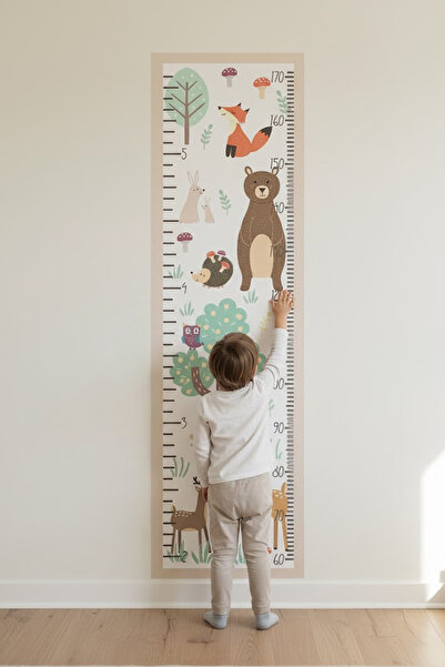 Kt Grup Woodland Animals Boy Ölçer Gelişim Tablosu Duvar Sticker