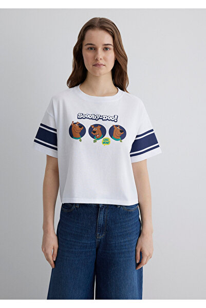 Mavi Scooby Doo εμπριμέ λευκό μπλουζάκι κανονική εφαρμογή / κανονική εφαρμογή 1613368 -620