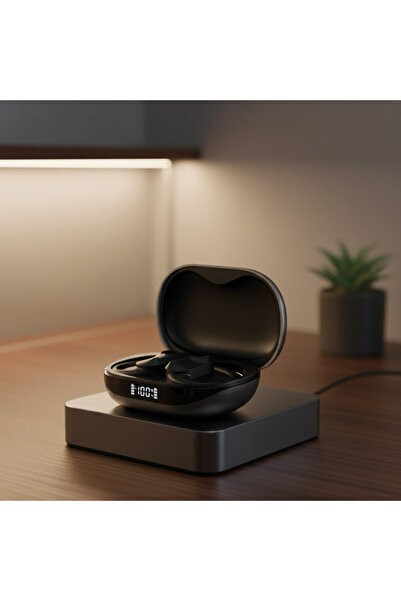 LENOVO LK2 Gray Earphones