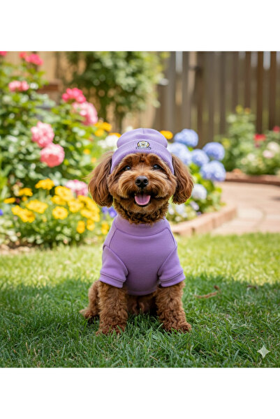 Lokums طقم ملابس وقبعة للكلاب مصنوع يدويًا من قماش ريبانا (للفئات الصغيرة وال...