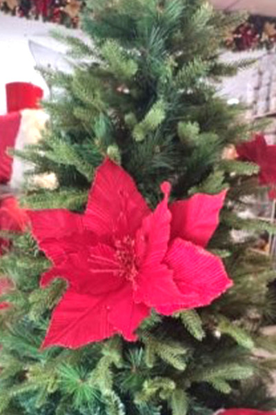 THE BIGGEST IMPACT زهرة البونسيا الحمراء |   ديكورات السنة الجديدة وعيد الميل...